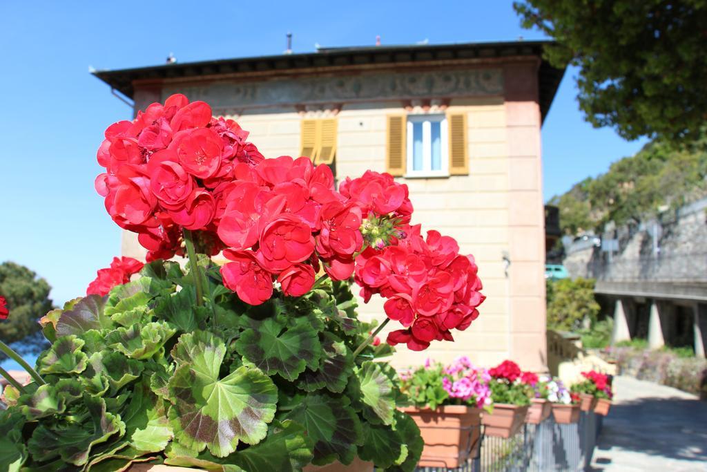 B&B Villa Orchidea Camogli Exterior photo